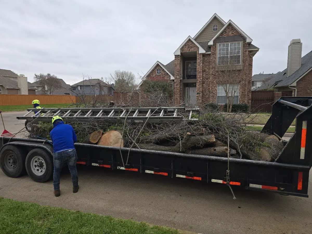 Expert Tree Pest Control with proper safety equipment in Bettsville